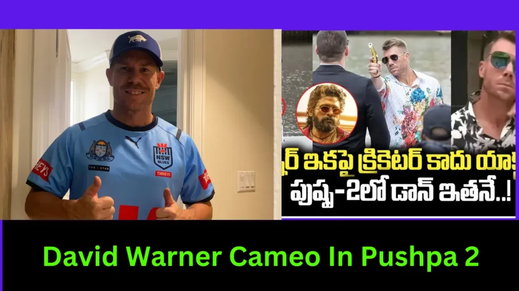 David Warner Cameo In Pushpa 2