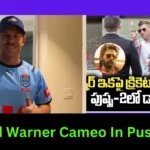 David Warner Cameo In Pushpa 2