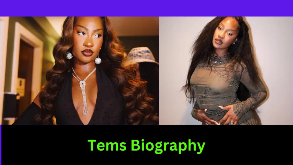Tems Biography