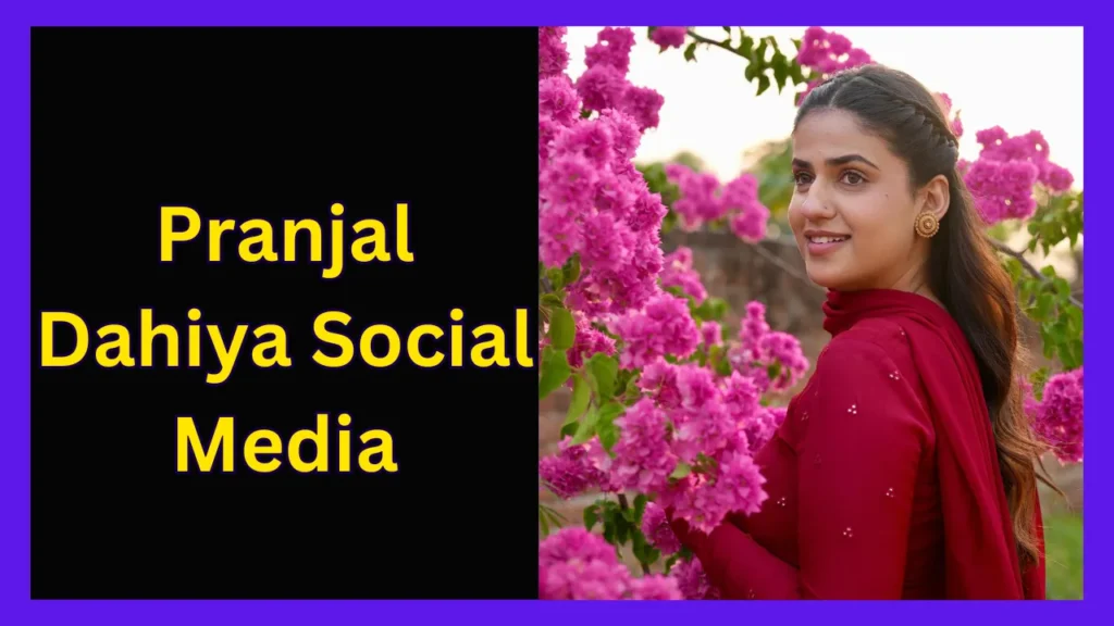 Pranjal Dahiya Social Media